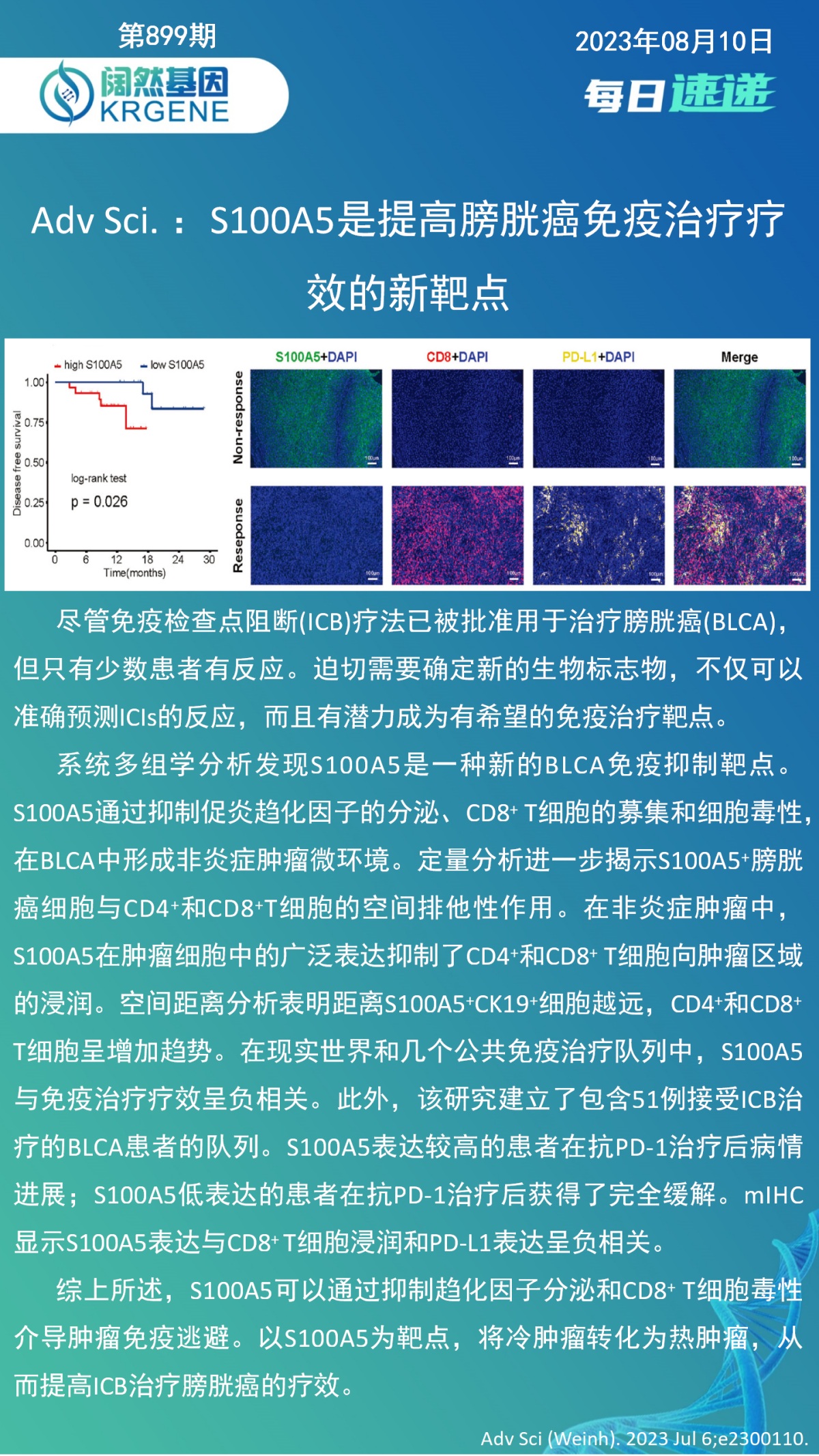 Adv Sci. ：S100A5是提高膀胱癌免疫治疗疗效的新靶点 – 阔然基因 | 阔然生物