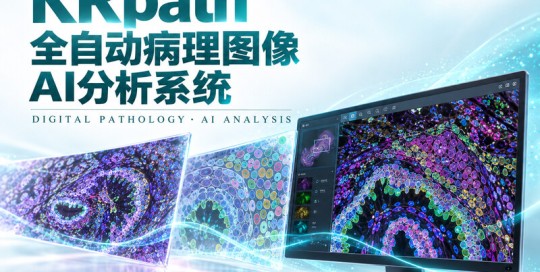 KRpath 全自动病理图像 AI 分析系统封面